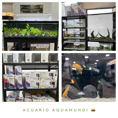 betim acuario|Aquamundi .